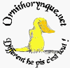 Ornithorynque